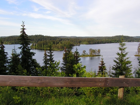 PICT0007.JPG