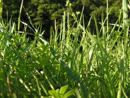 PICT0073.JPG